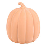 22cm Terracotta Pumpkin Ornament